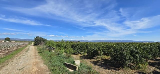 Undeveloped Land for sale in Llíria - € 63,000 (Ref: 9732082)