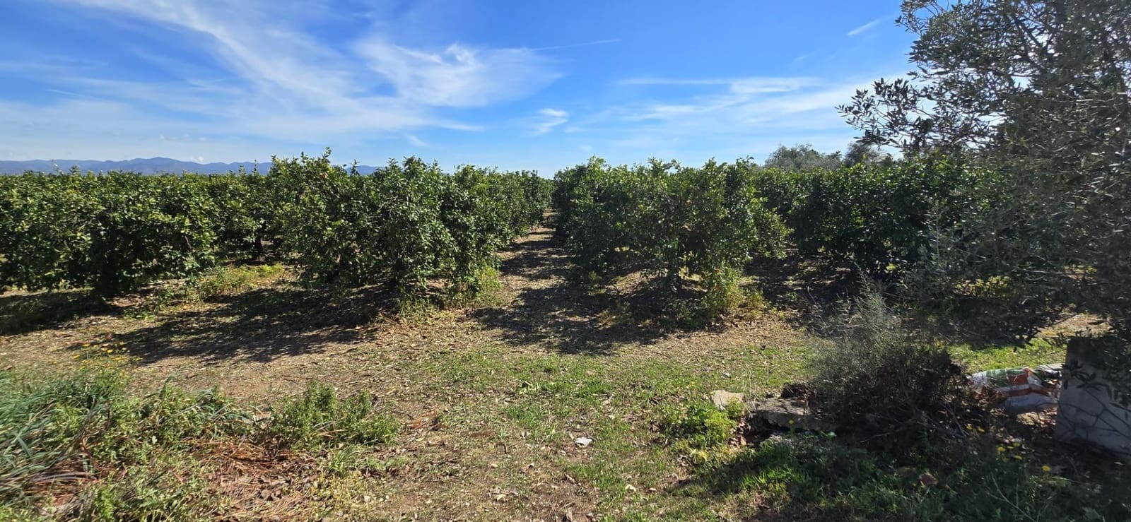 Undeveloped Land for sale in Lliria - € 63,000 (Ref: 9732082)