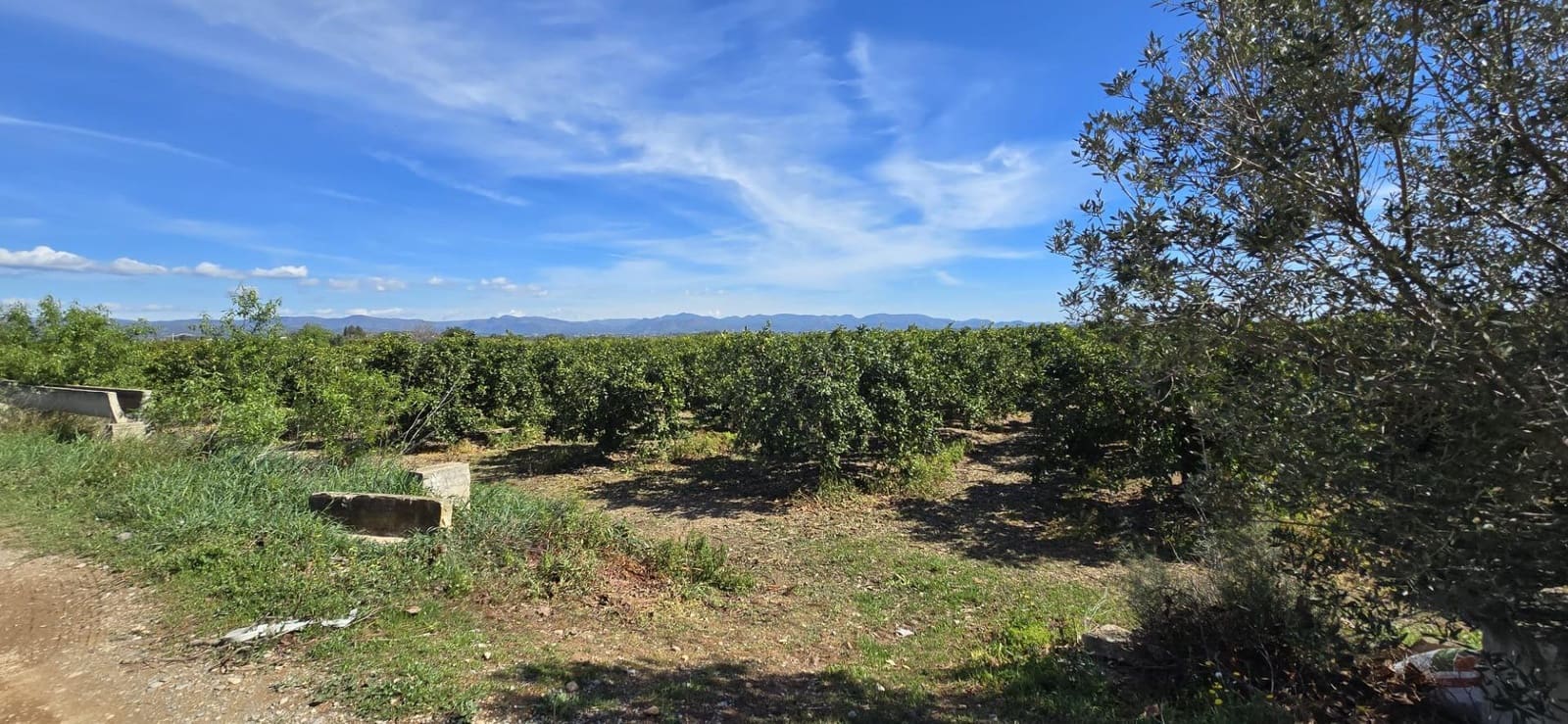 Undeveloped Land for sale in Lliria - € 63,000 (Ref: 9732082)