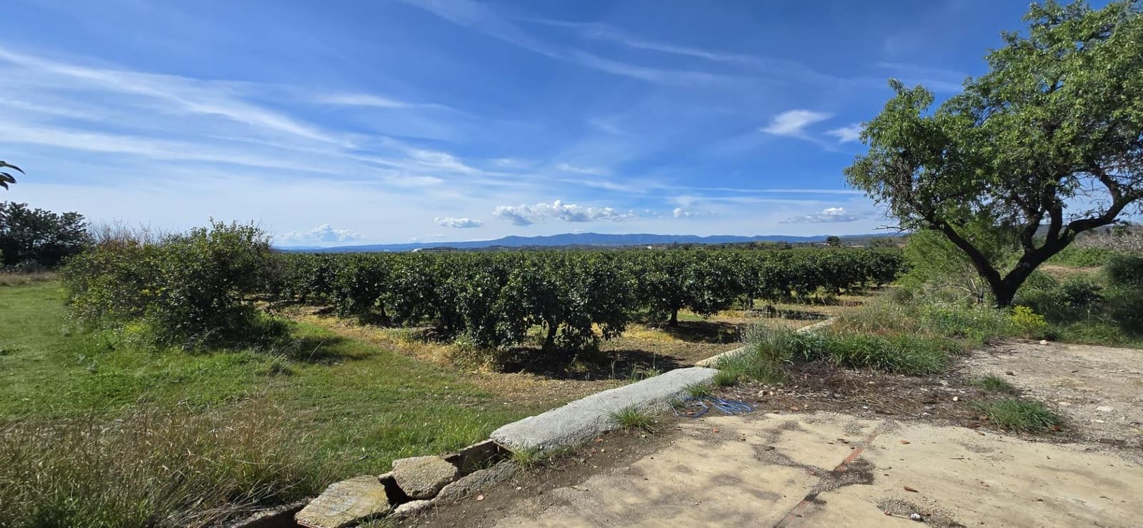 Undeveloped Land for sale in Lliria - € 63,000 (Ref: 9732082)