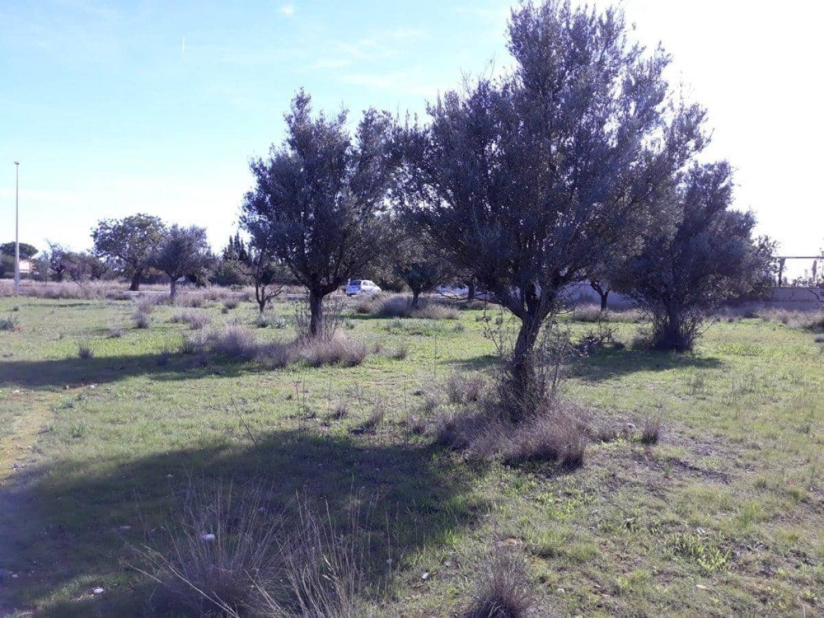 Area Edificabile in vendita in Lliria - 66.000 € (Rif: 9758949)