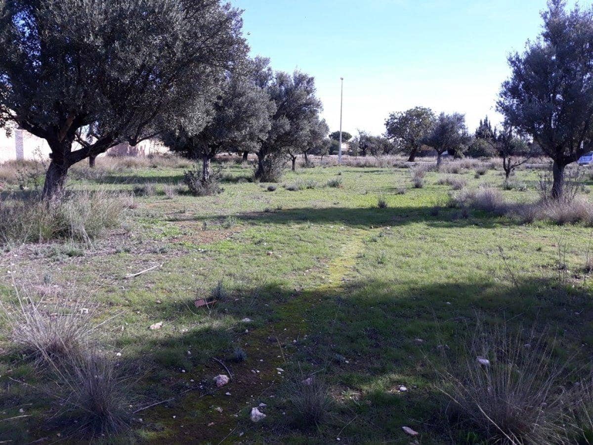 Area Edificabile in vendita in Lliria - 66.000 € (Rif: 9758949)