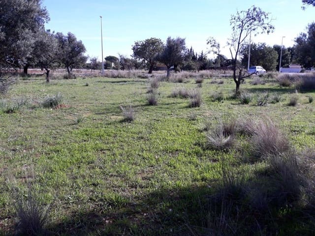 Terrain à Bâtir à vendre à Llíria - 66 000 € (Ref: 9758949)