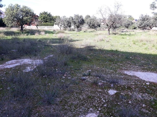 Terrain à Bâtir à vendre à Llíria - 66 000 € (Ref: 9758949)
