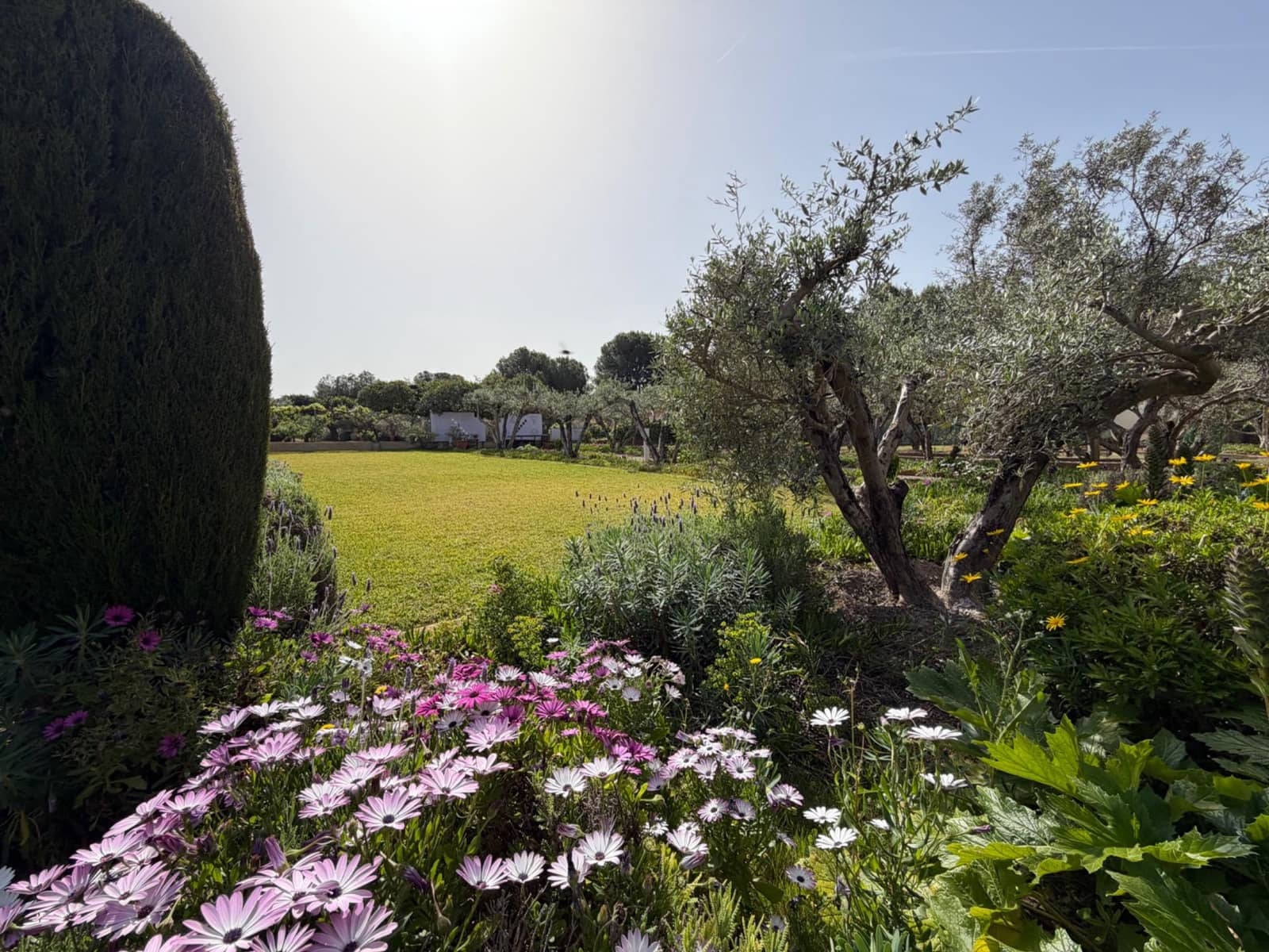 4 slaapkamer Villa te koop in Olocau met zwembad garage - € 389.000 (Ref: 9761966)