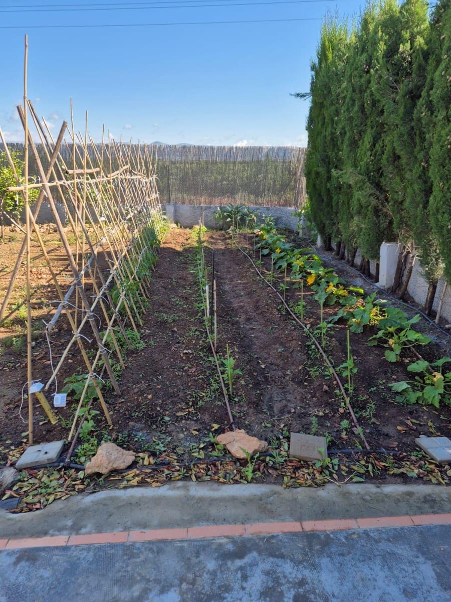 2 sypialnia Willa na sprzedaż w Lliria z basenem - 115 000 € (Ref: 9791045)