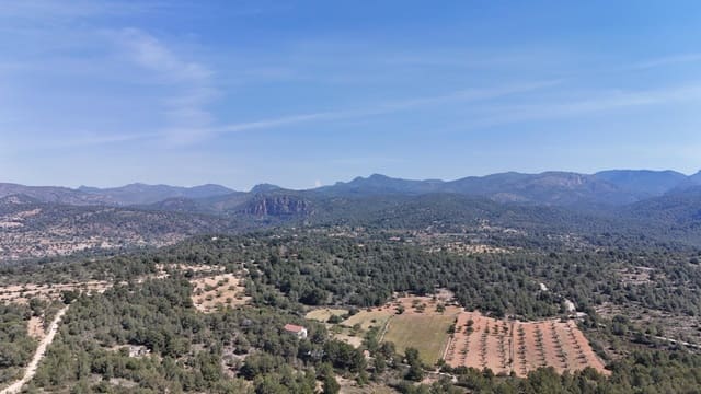 Byggegrund til salg i Olocau - € 75.000 (Ref: 9799242)