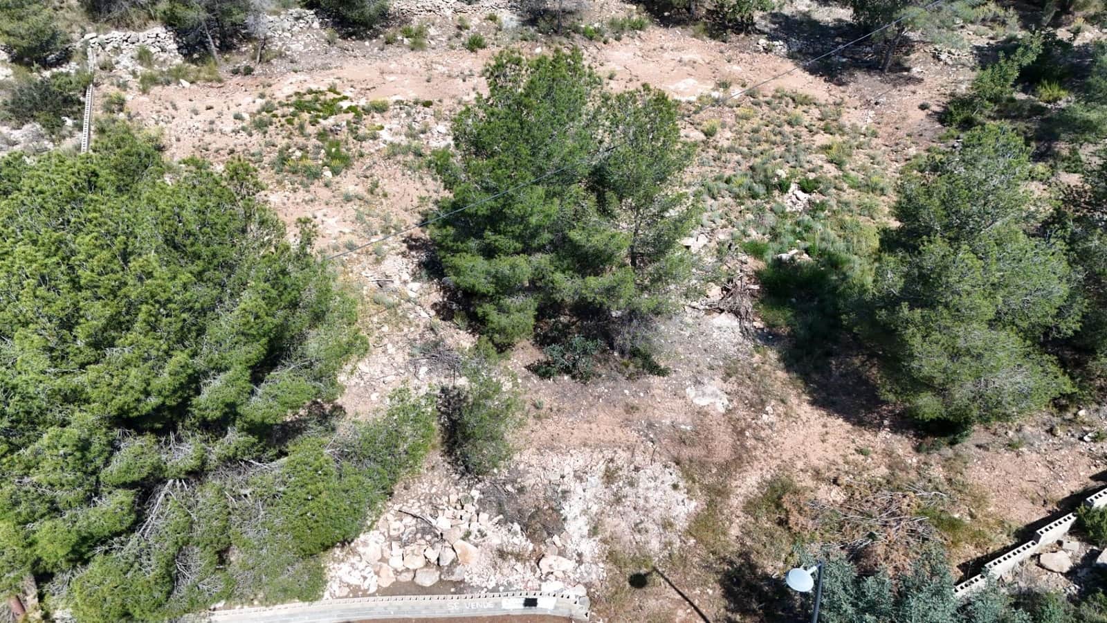 Byggegrund til salg i Olocau - € 75.000 (Ref: 9799242)