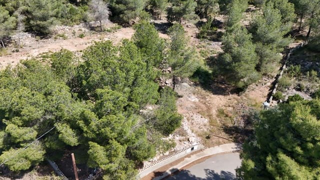 Byggegrund til salg i Olocau - € 75.000 (Ref: 9799242)