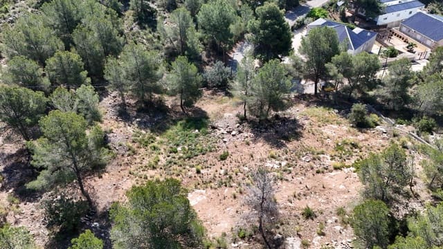 Byggegrund til salg i Olocau - € 75.000 (Ref: 9799242)