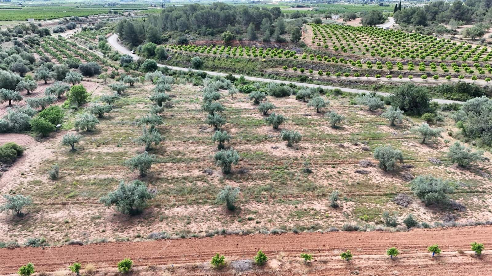 Grond te koop in Lliria - € 7.500 (Ref: 9818192)