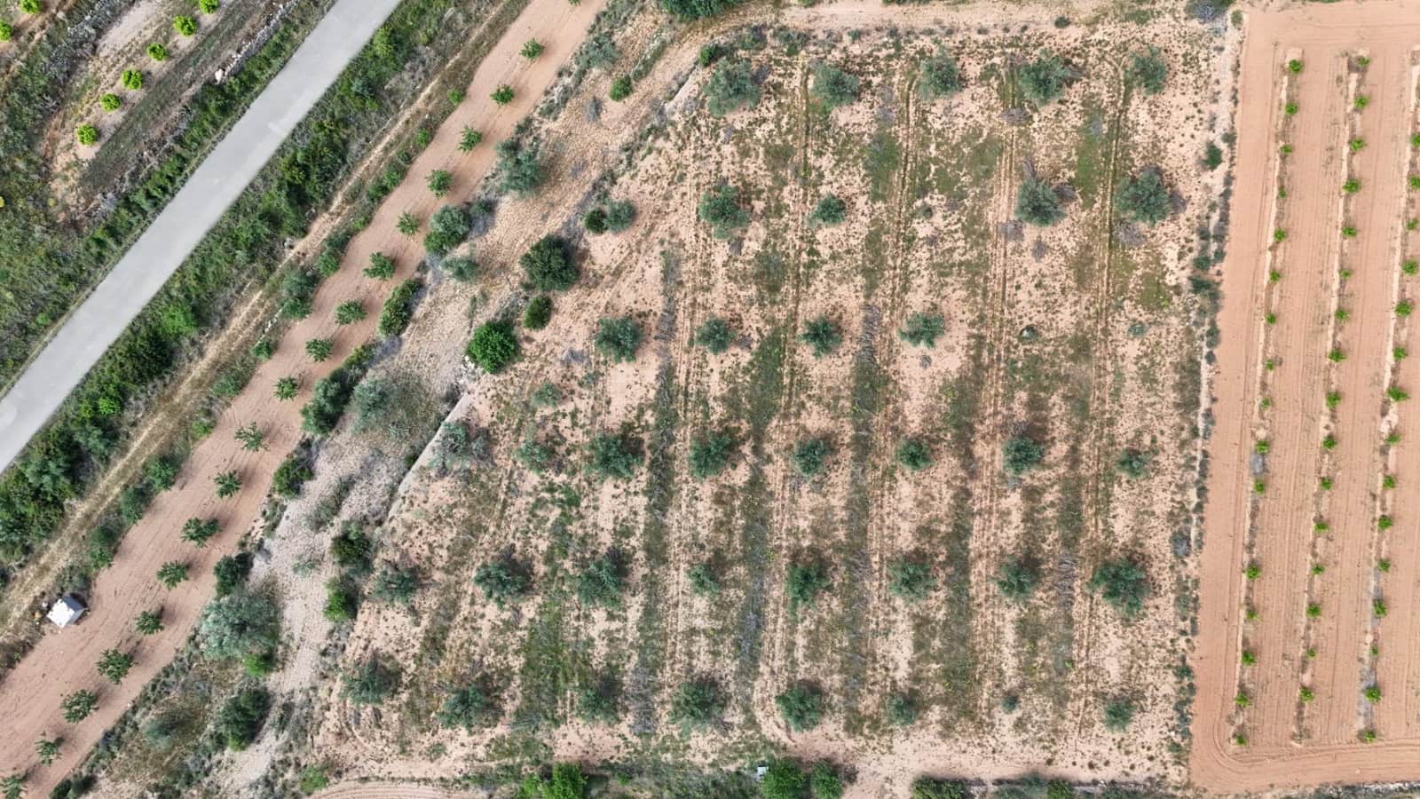 Grond te koop in Lliria - € 7.500 (Ref: 9818192)