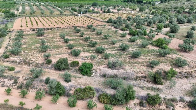 Grond te koop in Llíria - € 7.500 (Ref: 9818192)