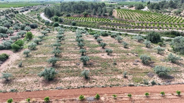 Grond te koop in Llíria - € 7.500 (Ref: 9818192)