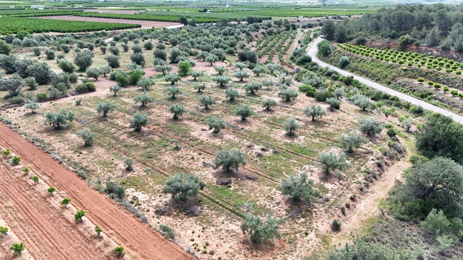 Grond te koop in Lliria - € 7.500 (Ref: 9818192)