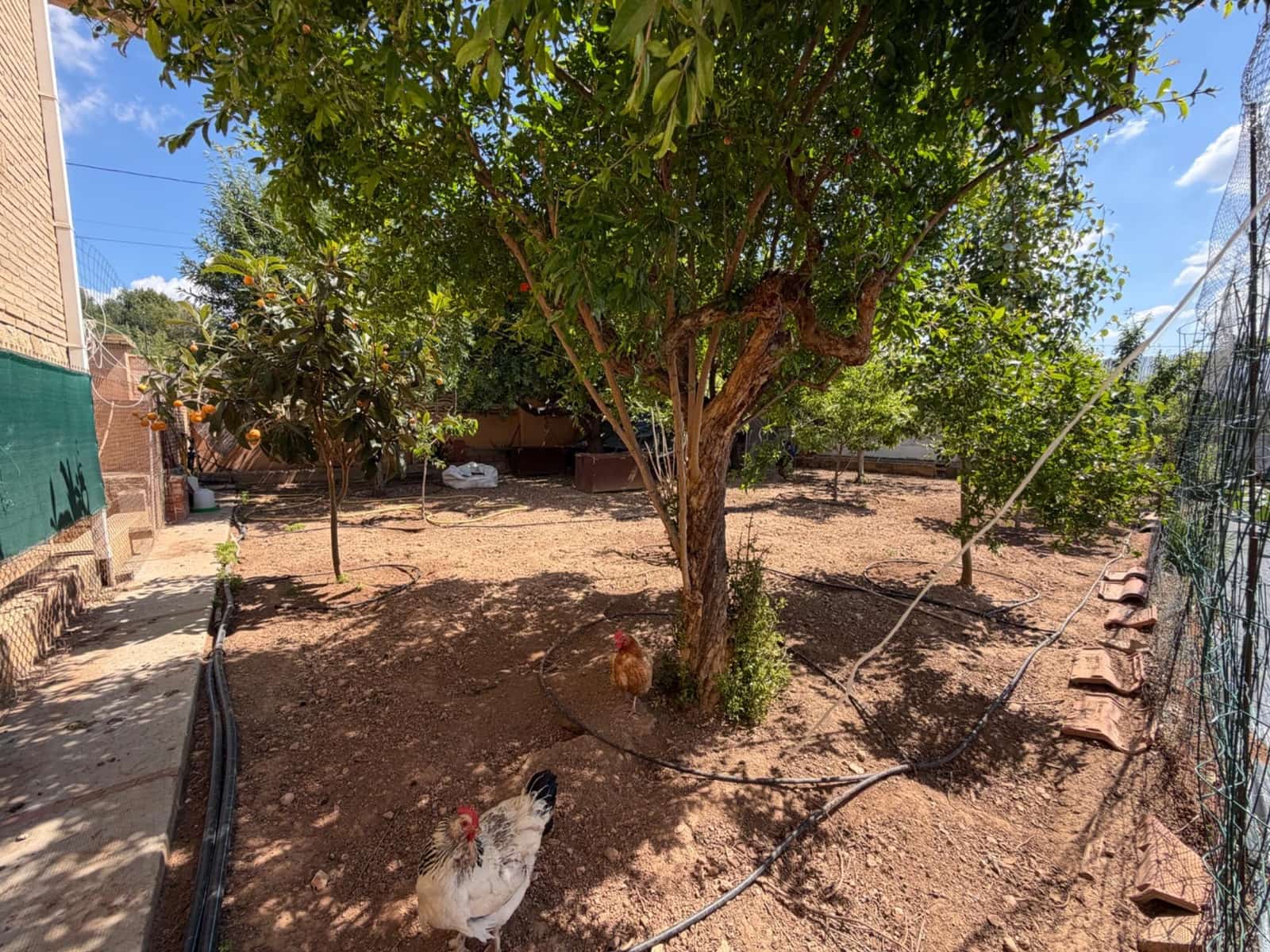 5 Zimmer Villa zu verkaufen in Lliria mit Pool Garage - 470.000 € (Ref: 9820491)