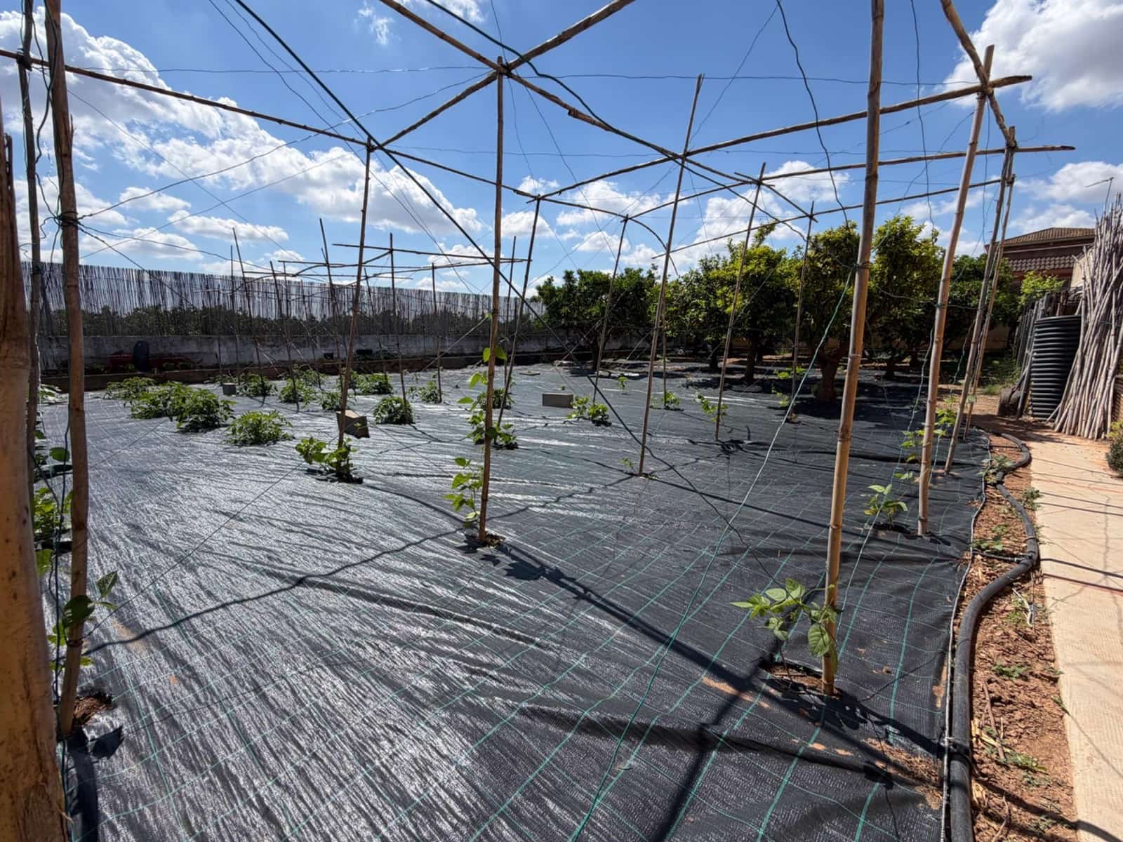 5 Zimmer Villa zu verkaufen in Lliria mit Pool Garage - 470.000 € (Ref: 9820491)