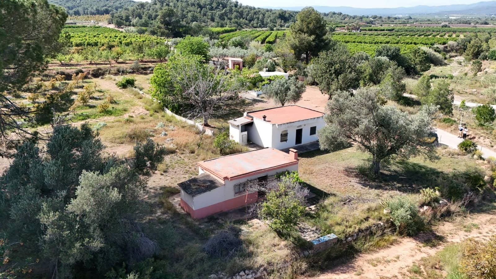3 Zimmer Finca/Landgut zu verkaufen in Olocau - 85.000 € (Ref: 9942514)