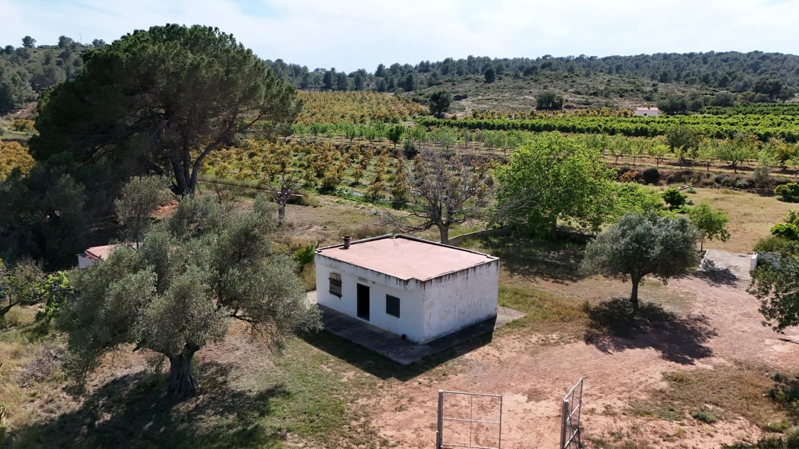 3 Zimmer Finca/Landgut zu verkaufen in Olocau - 85.000 € (Ref: 9942514)