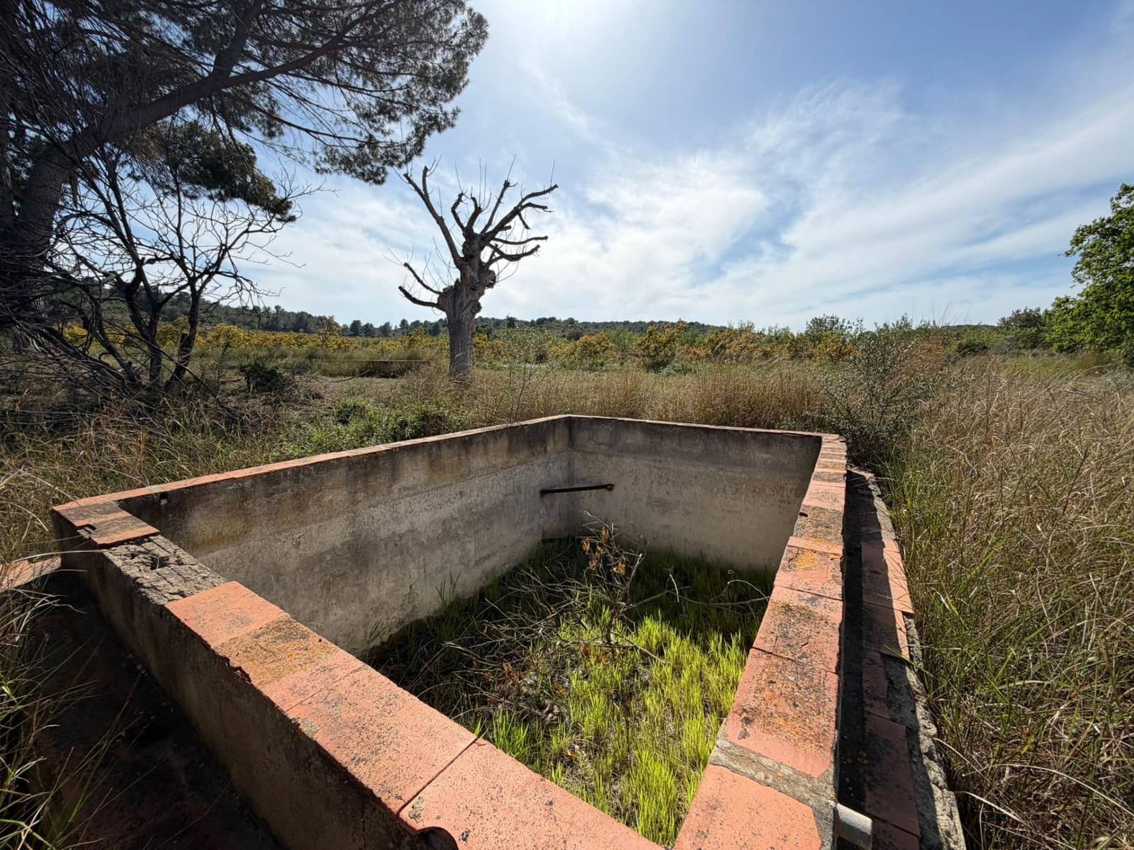 3 Zimmer Finca/Landgut zu verkaufen in Olocau - 85.000 € (Ref: 9942514)