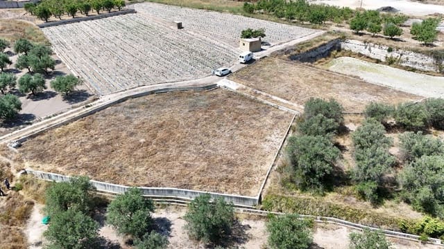 Terreno/Finca Rústica en Llíria en venta - 6.000 € (Ref: 9954221)