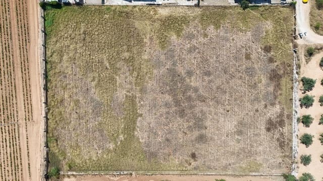 Terreno/Finca Rústica en Llíria en venta - 21.000 € (Ref: 9957971)
