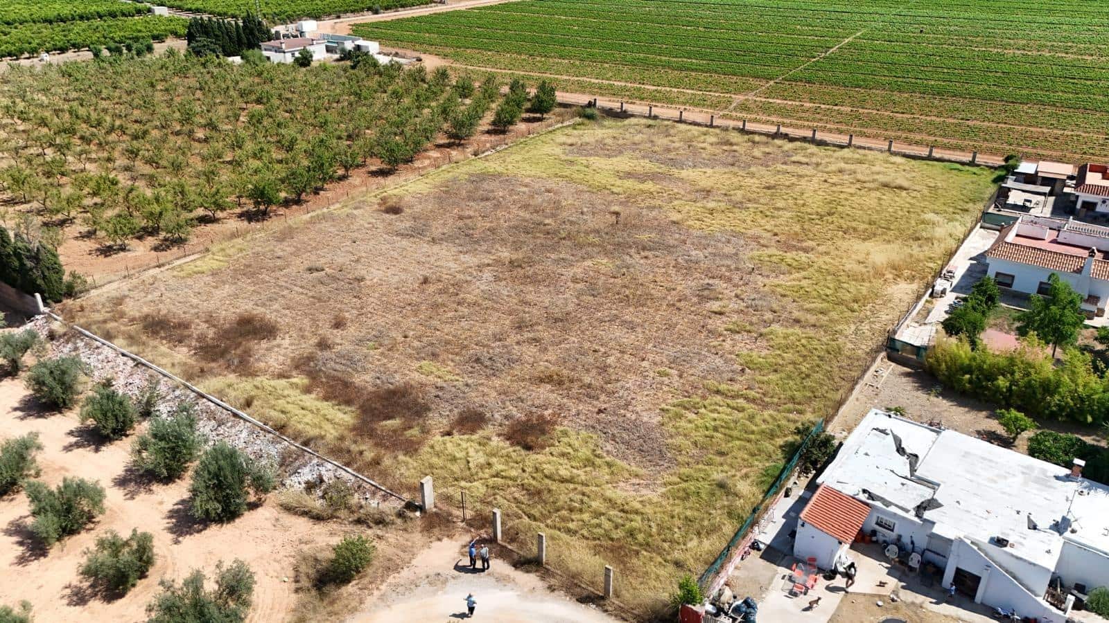 Terreno/Finca Rústica en Llíria en venta - 21.000 € (Ref: 9957971)