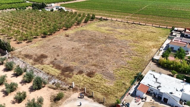 Terreno/Finca Rústica en Llíria en venta - 21.000 € (Ref: 9957971)