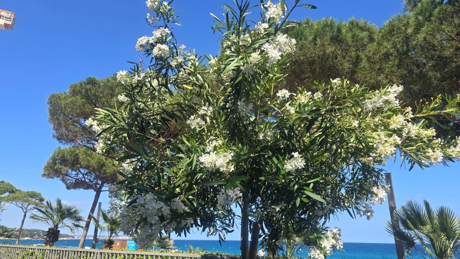 3 soverom Leilighet til salgs i Platja d'Aro med svømmebasseng - € 875 000 (Ref: 10183743)