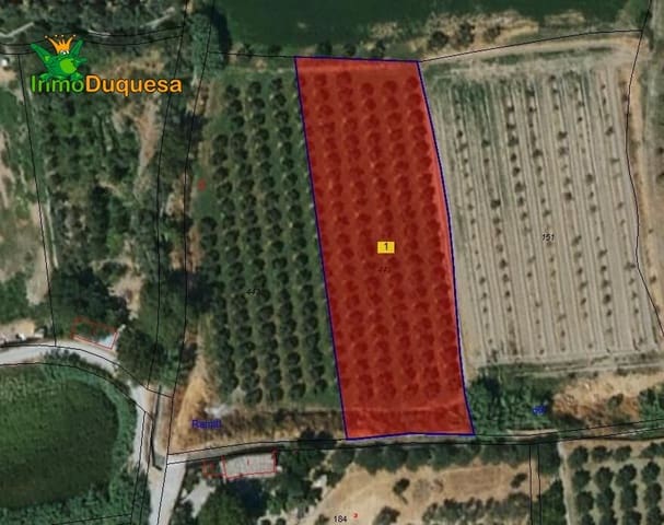 Grunde uden byggetilladelser til salg i La Zubia - € 23.000 (Ref: 8428793)