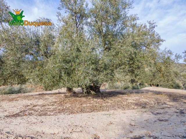 Grunde uden byggetilladelser til salg i Vegas del Genil - € 95.000 (Ref: 8708088)