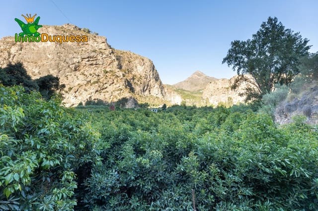 Landgrundstück zu verkaufen in Vélez de Benaudalla - 260.000 € (Ref: 8862661)