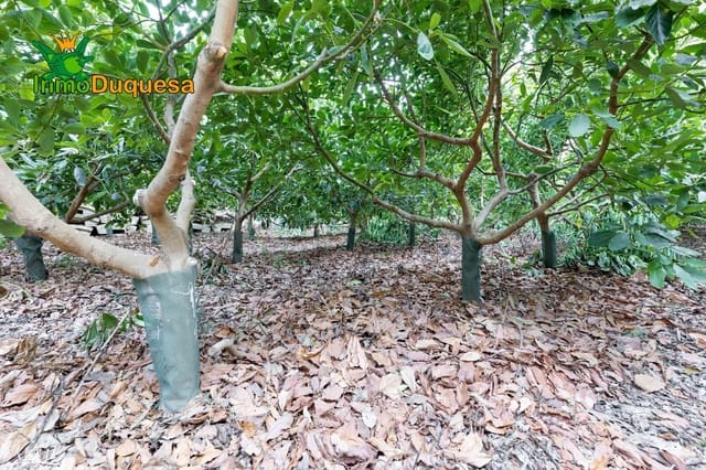 Landgrundstück zu verkaufen in Vélez de Benaudalla - 260.000 € (Ref: 8862661)