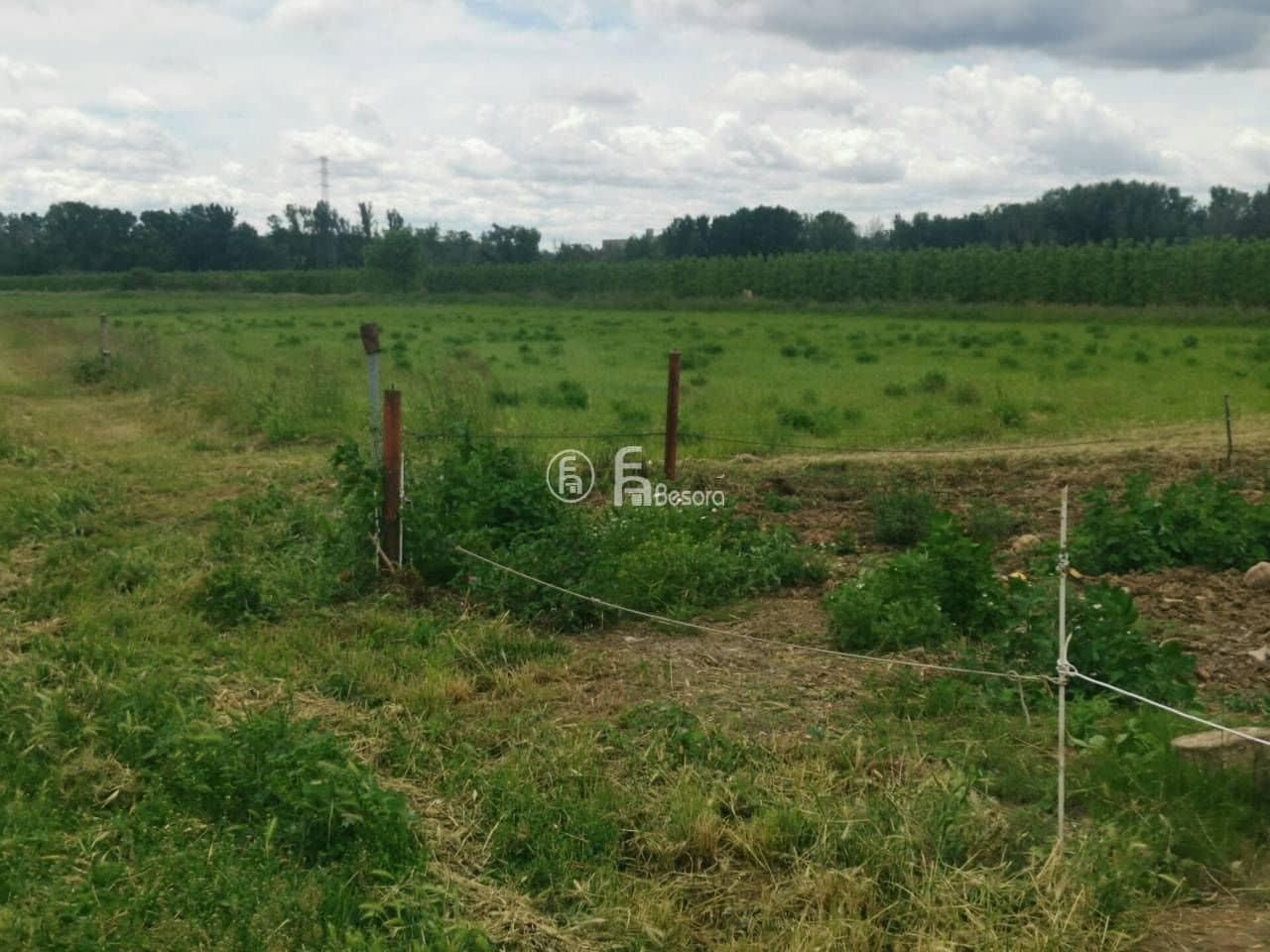 Finca/Country House for sale in Lleida city - € 525,000 (Ref: 9443689)