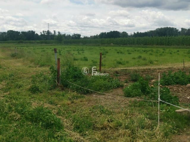 Maalaistalo myytävänä paikassa Lleida kaupunki - 525 000 € (Ref: 9443695)