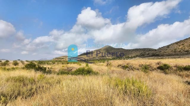 Ubebygd land til salgs i Morata, Lorca - € 84 900 (Ref: 10007233)