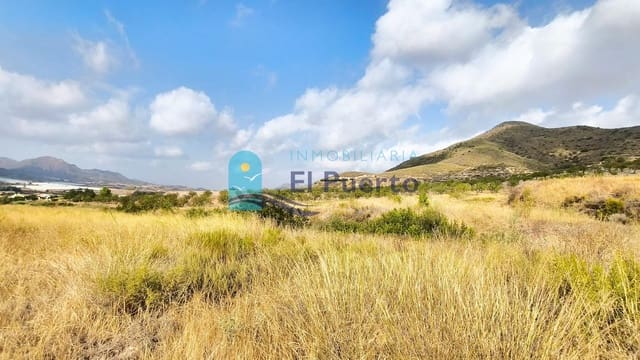 Ubebygd land til salgs i Morata, Lorca - € 84 900 (Ref: 10007233)