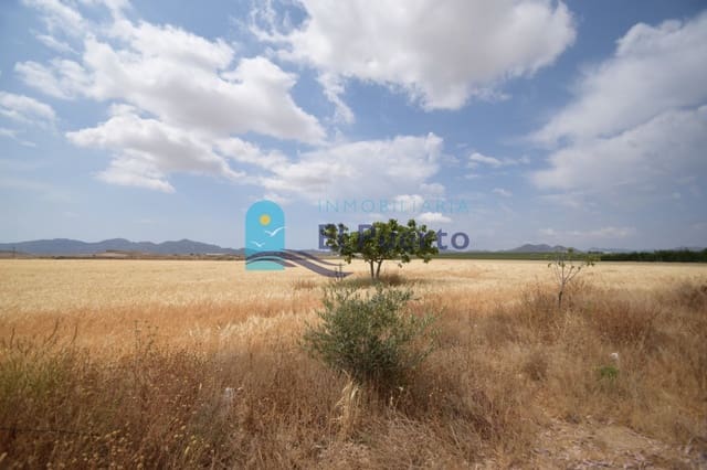 Undeveloped Land for sale in Mazarrón - € 112,900 (Ref: 6826960)