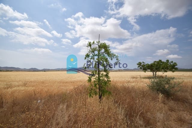 Undeveloped Land for sale in Mazarrón - € 112,900 (Ref: 6826960)