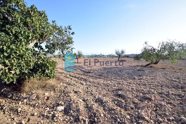Grond te koop in Las Palas, Fuente Alamo de Murcia - € 54.900 (Ref: 6826983)