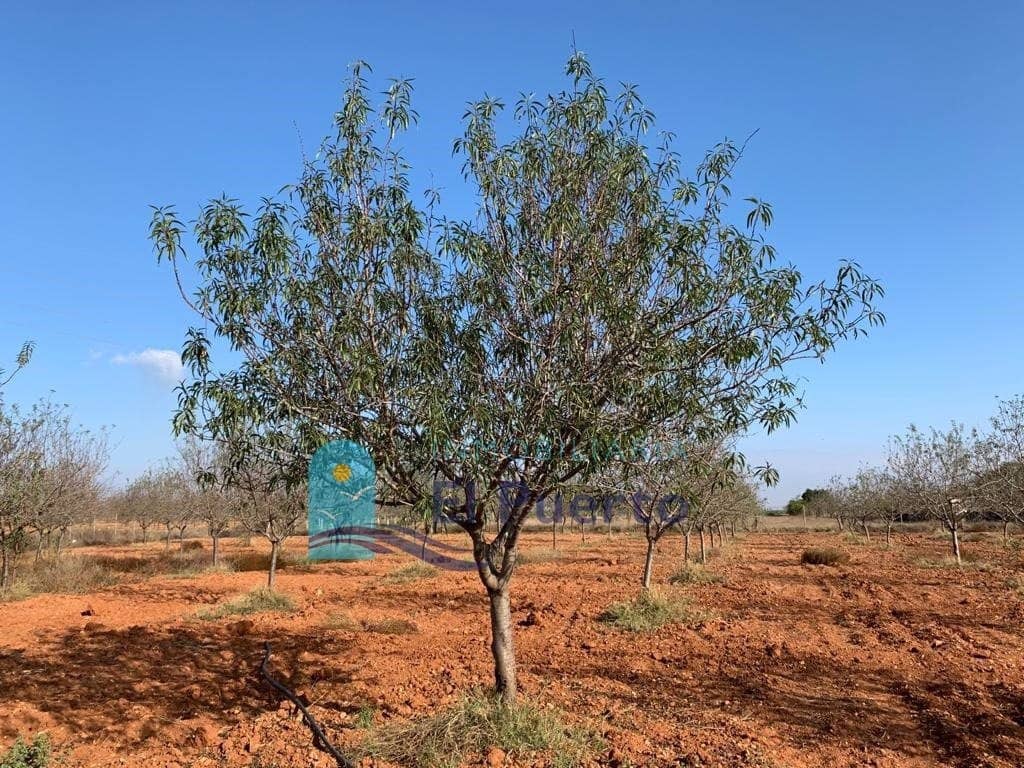 Teren niezagospodarowany na sprzedaż w La Magdalena - 35 900 € (Ref: 6827233)