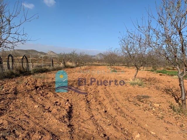 Mark till salu i La Magdalena, Cartagena - 35 900 € (Ref: 6827233)