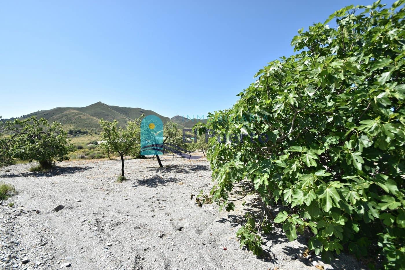 Finca/Landehus til salg i Mazarron - € 104.900 (Ref: 6909081)