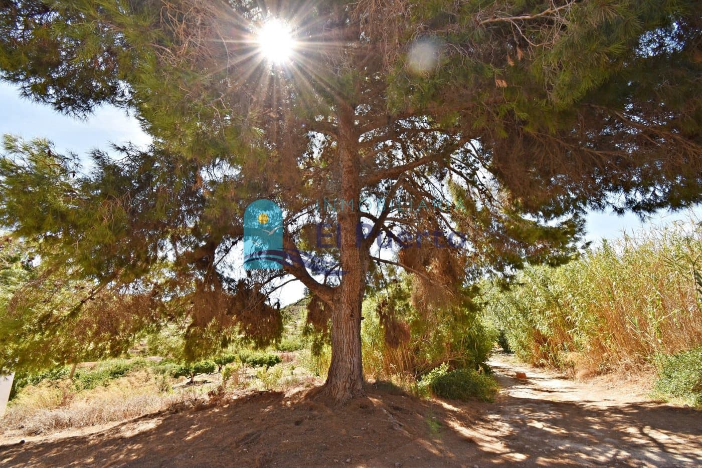 6 soveværelse Finca/Landehus til salg i Mazarron med swimmingpool - € 340.000 (Ref: 7074854)