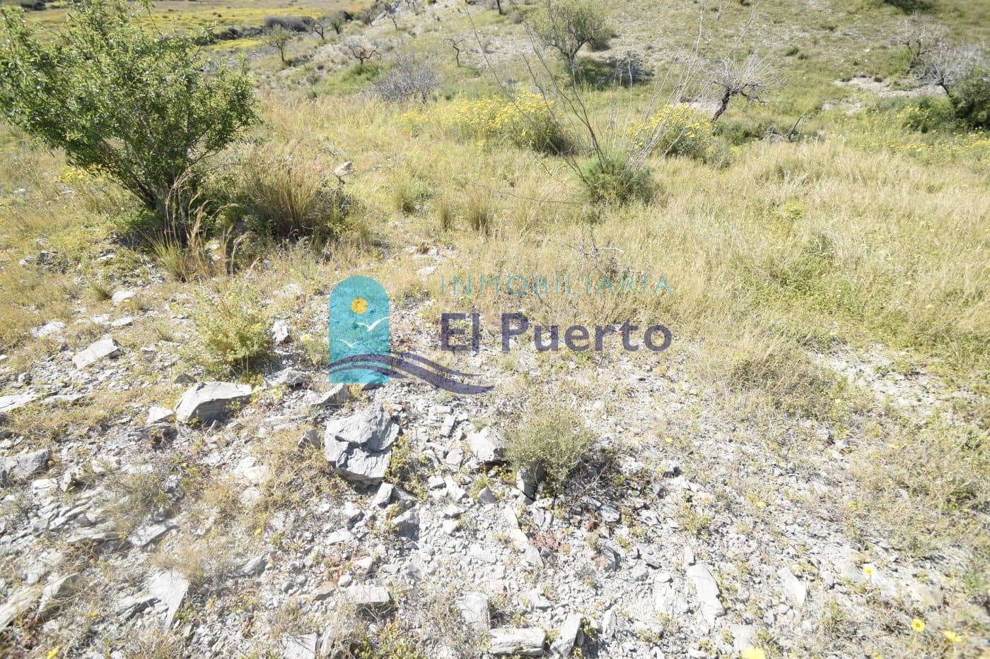 Grond te koop in Mazarron - € 44.990 (Ref: 7357188)