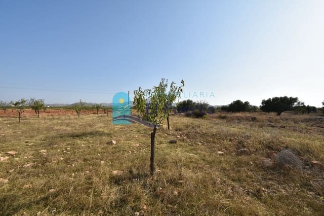 Undeveloped Land for sale in Mazarrón - € 34,900 (Ref: 8037887)