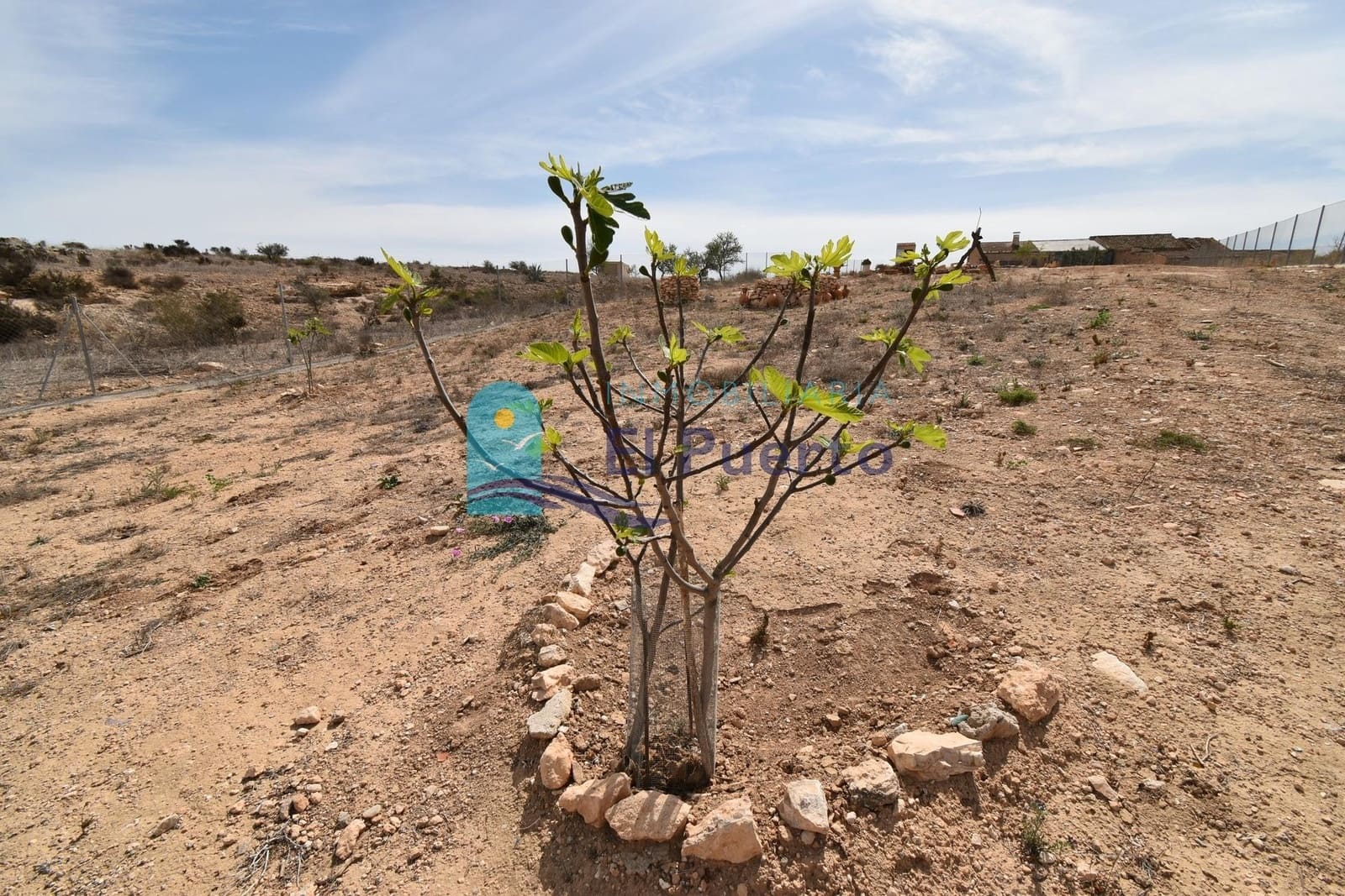 1 soveværelse Finca/Landehus til salg i Totana - € 49.900 (Ref: 8172980)