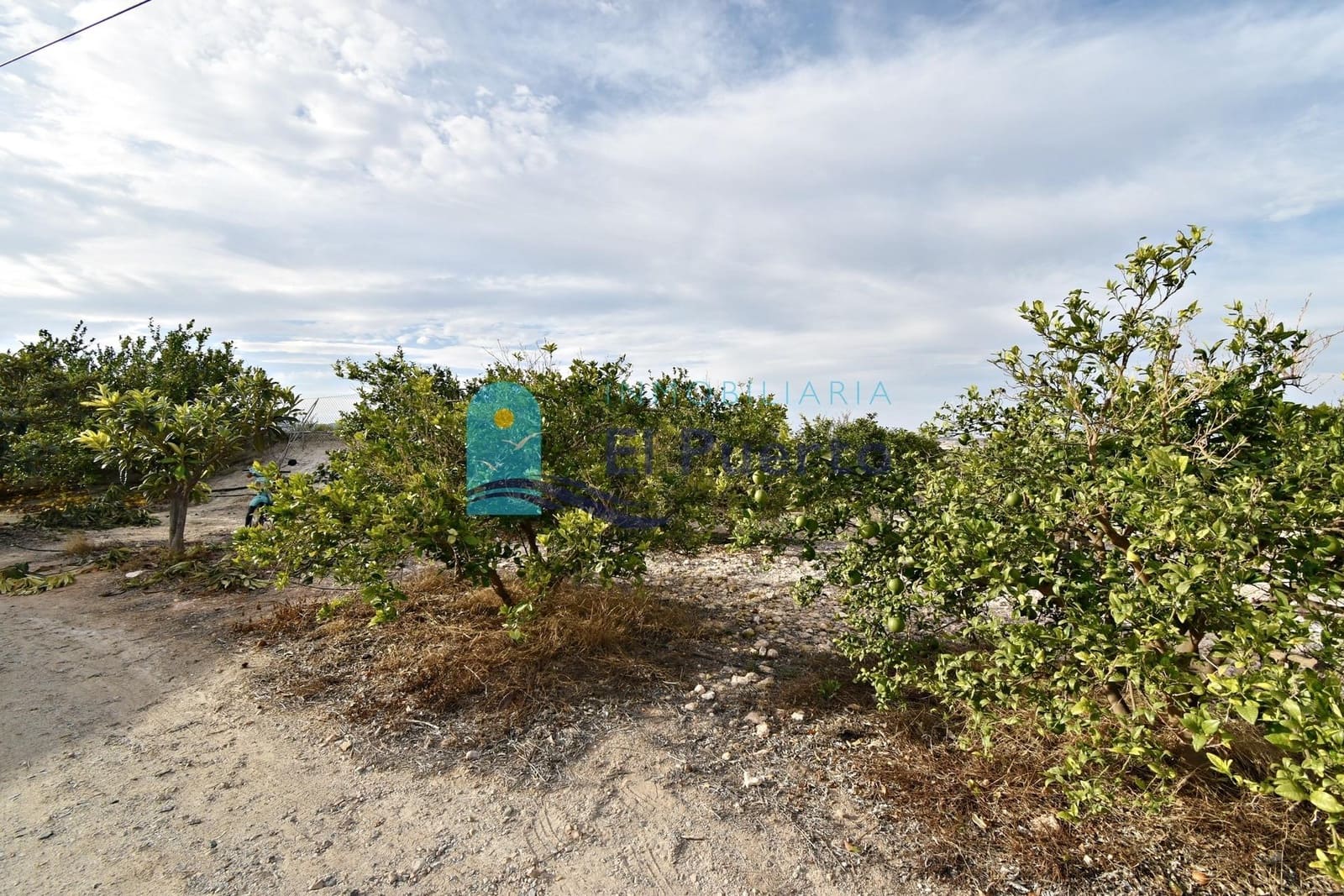 6 sypialnia Finka/Dom wiejski na sprzedaż w Leiva z basenem - 600 000 € (Ref: 8576665)