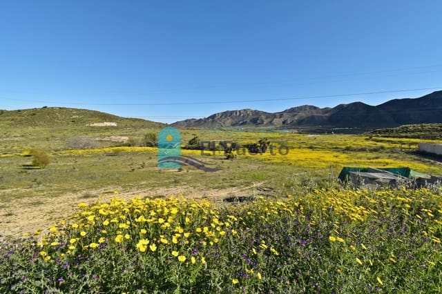 1 sovrum Finca/Hus på landet till salu i Leiva, Mazarrón - 215 000 € (Ref: 8895066)