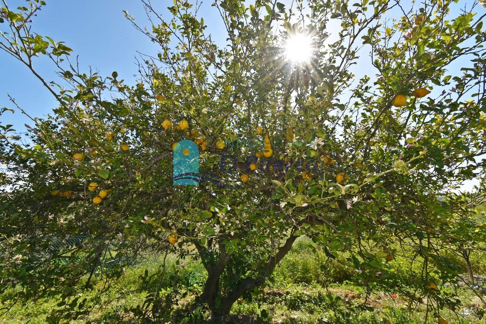 3 soveværelse Finca/Landehus til salg i Perin med swimmingpool garage - € 172.900 (Ref: 8946735)